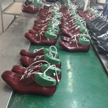 惠東鎮黃埠渝琦興鞋廠